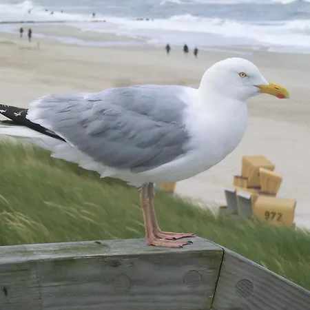 Haus Seehuette 208 Апартаменты *